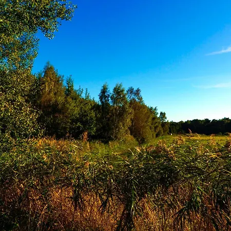 Am Deich Haus 36 בית נופש